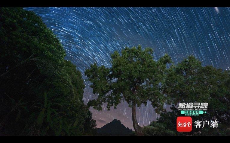 饿狮救援